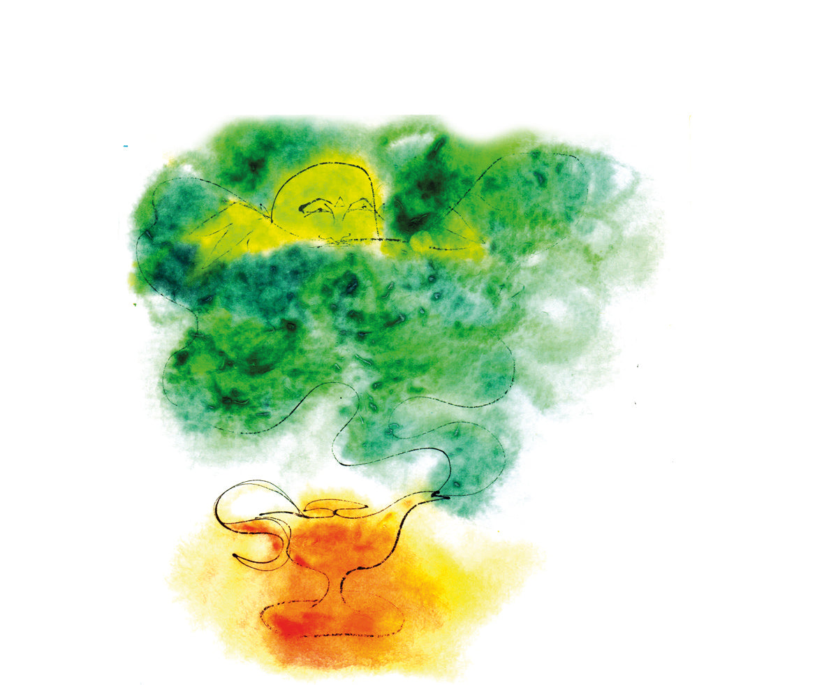 Acuarela interior 5 Dossier N101